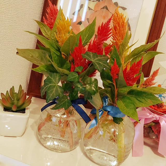 玄関/入り口/植物のある暮らしのインテリア実例 - 2018-09-04 15:14:58