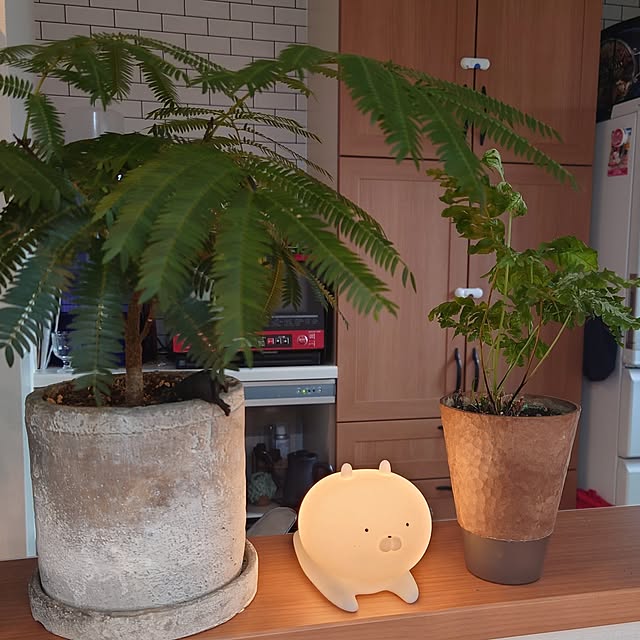mochicoさんの実例写真