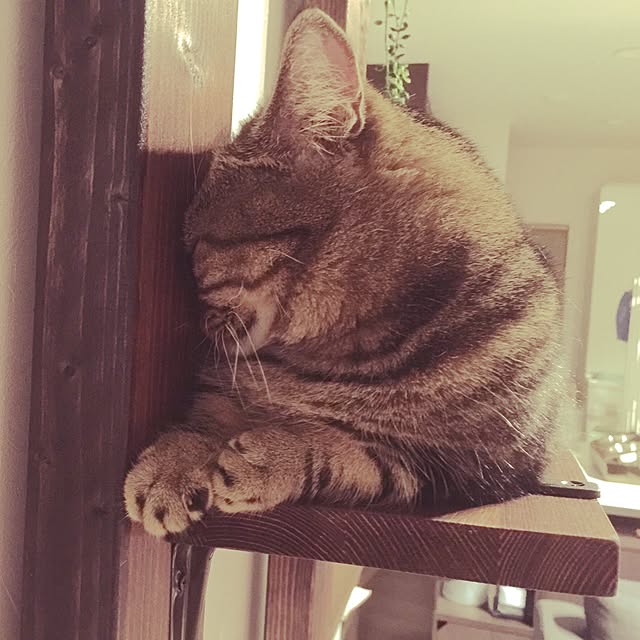 neuruさんの実例写真