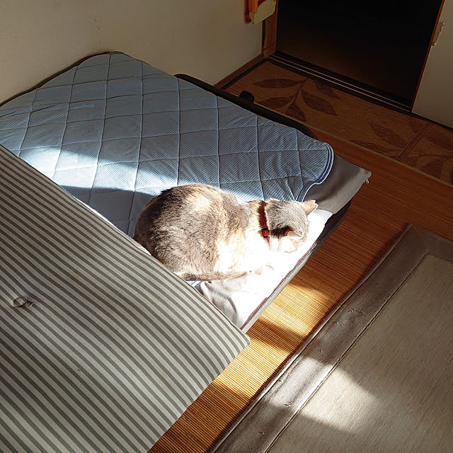 fukuさんの実例写真