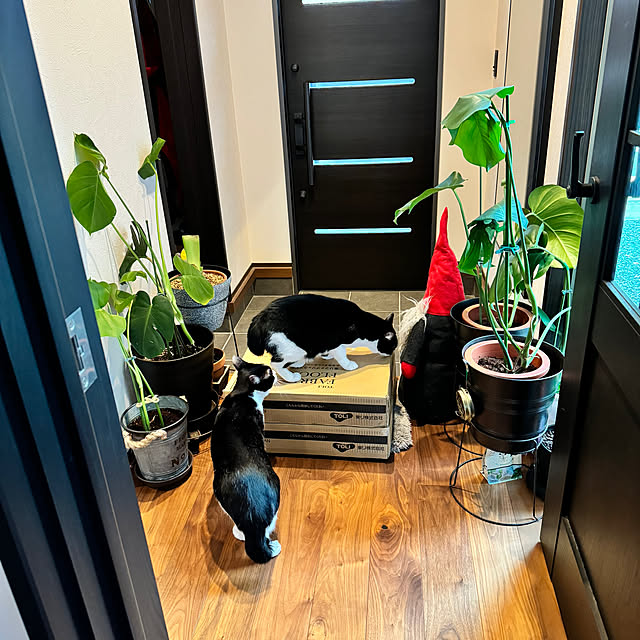 porinさんの部屋