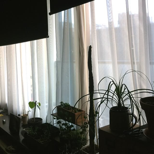 hoさんの実例写真
