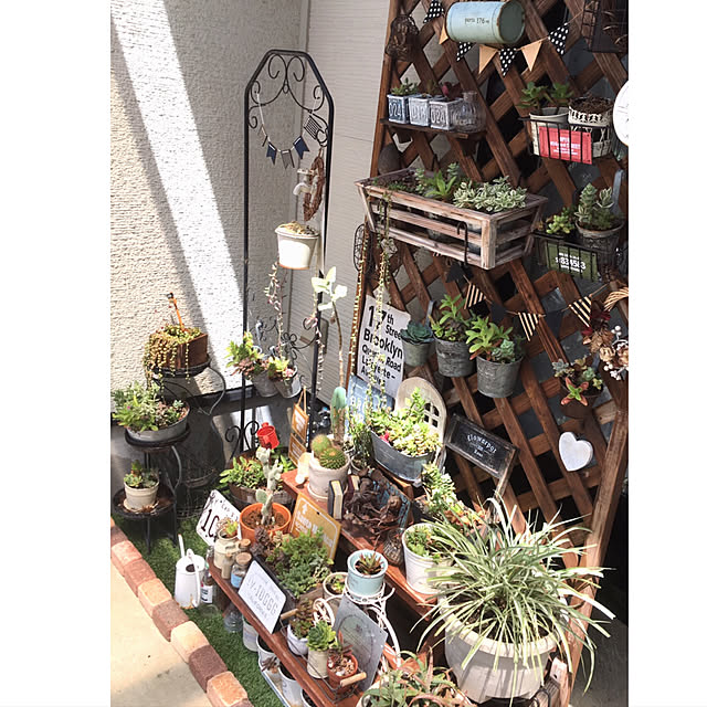 anko.hibuさんの実例写真