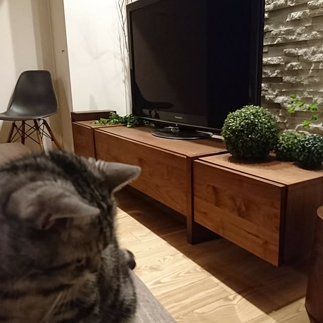 rasさんの実例写真