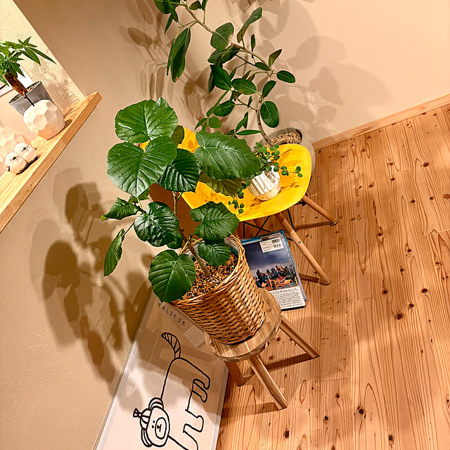 omochiさんの実例写真