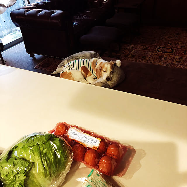 chouchouさんの実例写真