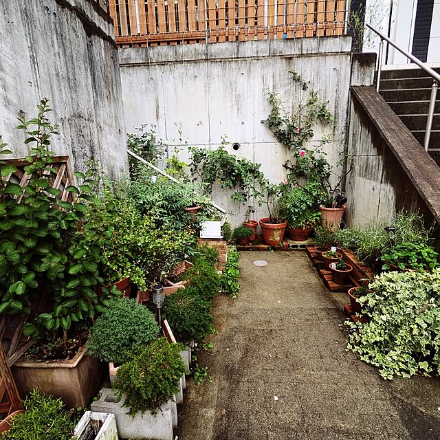 kazuさんの部屋