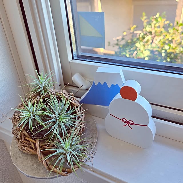 mutyukingさんの実例写真