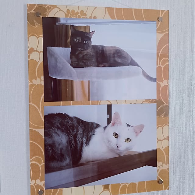 hirukumaさんの実例写真