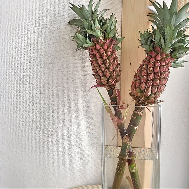 chi_kaさんの実例写真