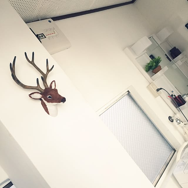 Ayakaさんの実例写真