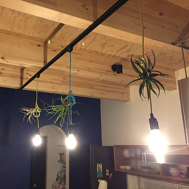 キッチン/照明/観葉植物のインテリア実例 - 2018-07-03 22:48:34