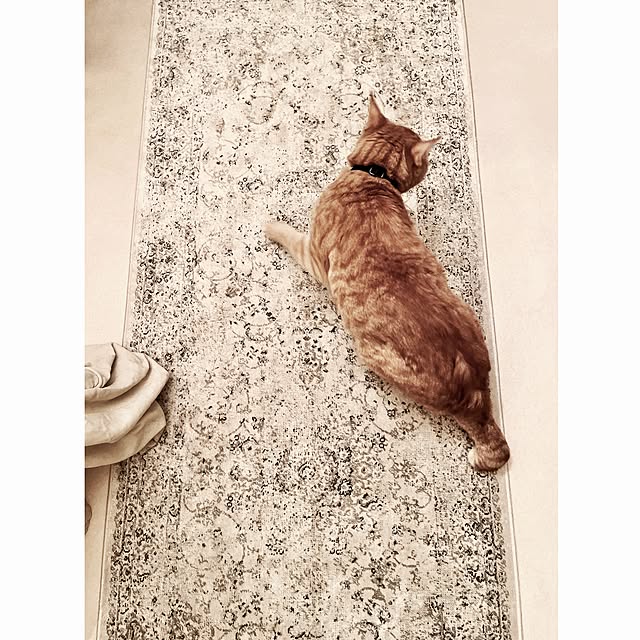 ataさんの実例写真