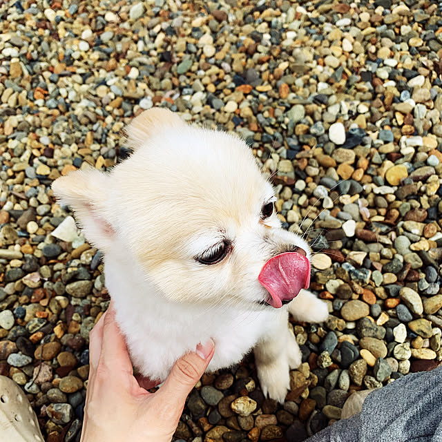 taka.さんの実例写真