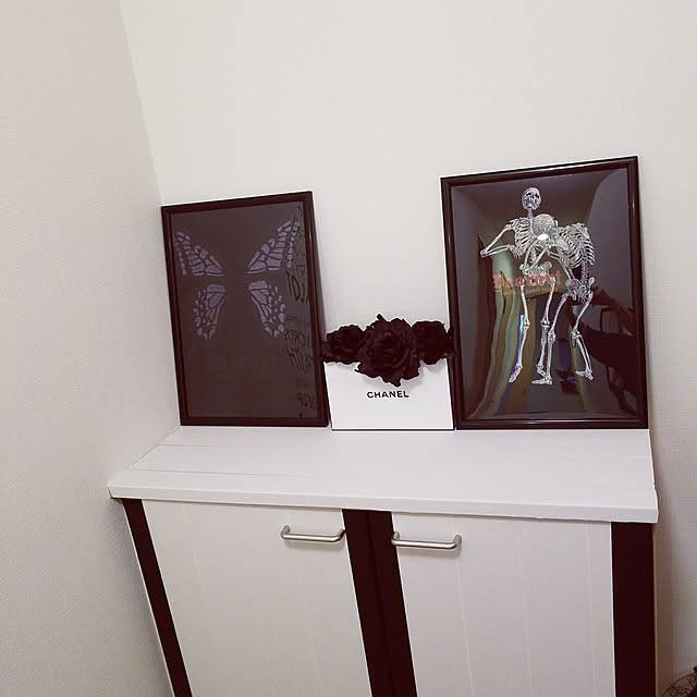 BUTTERFLYさんの実例写真