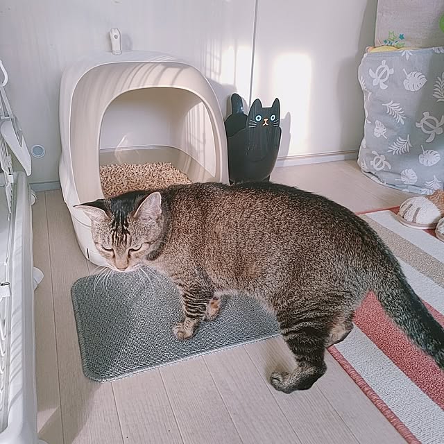 cocomintさんの部屋