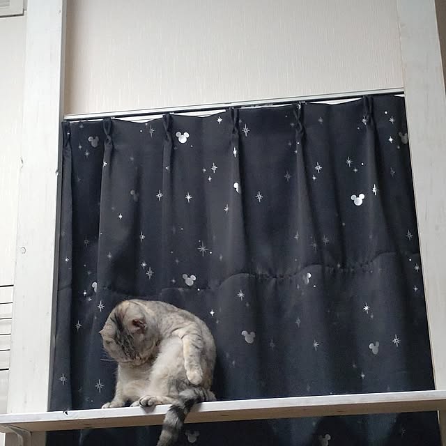 lelielさんの部屋