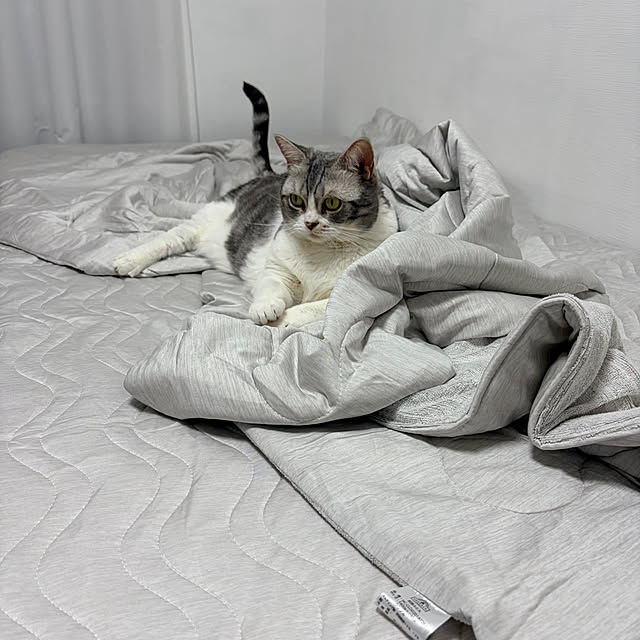 Atelier.mさんの部屋