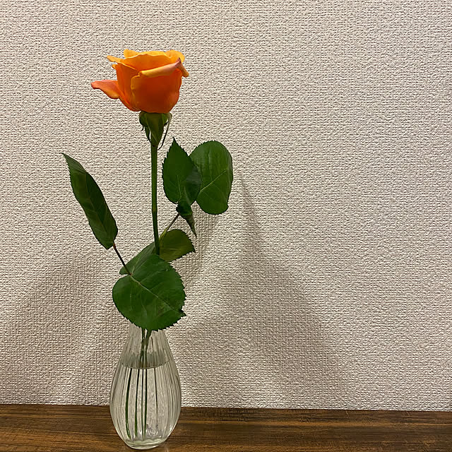 nocomomさんの部屋