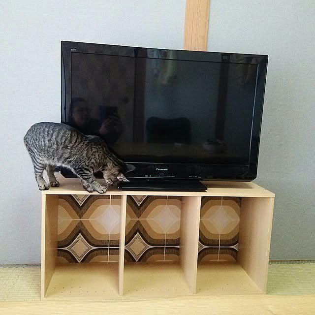 kuromiさんの実例写真