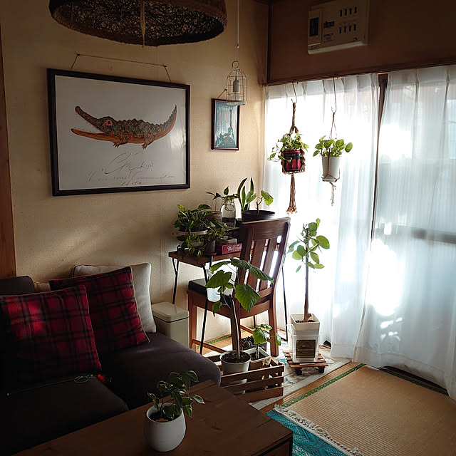 fukuさんの実例写真
