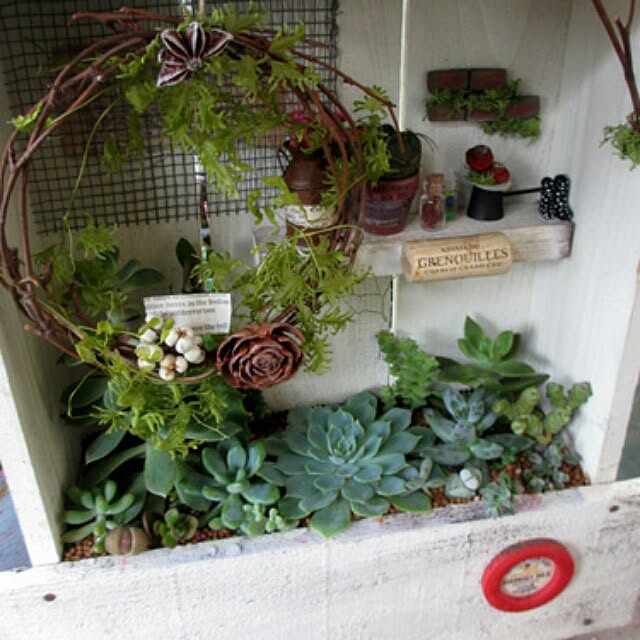 多肉植物/ハンドメイド/玄関/入り口のインテリア実例 - 2016-03-20 17:42:04