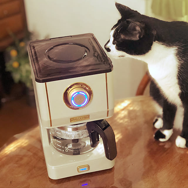 peruさんの実例写真