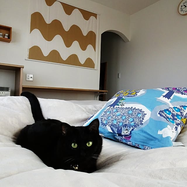 kobapiさんの実例写真