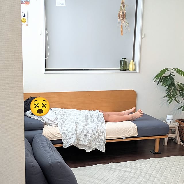 Shinohazuさんの実例写真