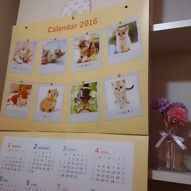 myu_cosmosさんの実例写真