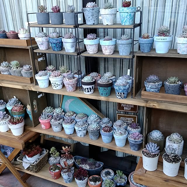 j.tさんの実例写真