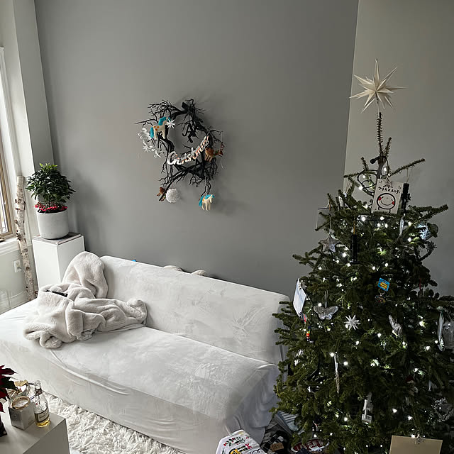 cocoarashさんの実例写真