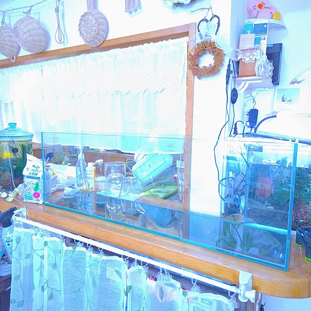 mariaさんの部屋
