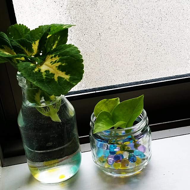 mihomipo7さんの実例写真