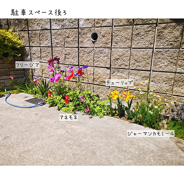nyancoさんの実例写真