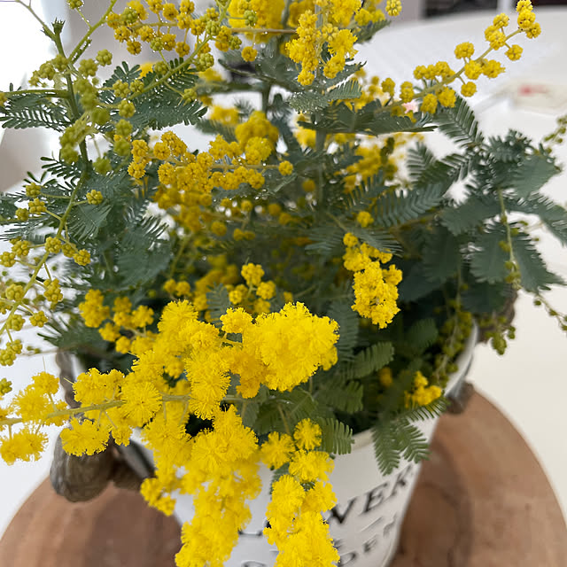 Andaluciaさんの実例写真