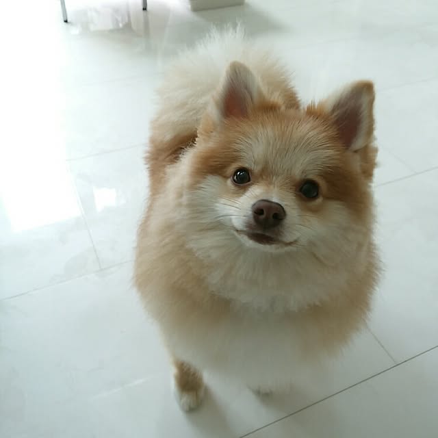 mi-さんの実例写真
