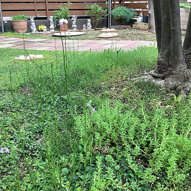 haruminさんの部屋