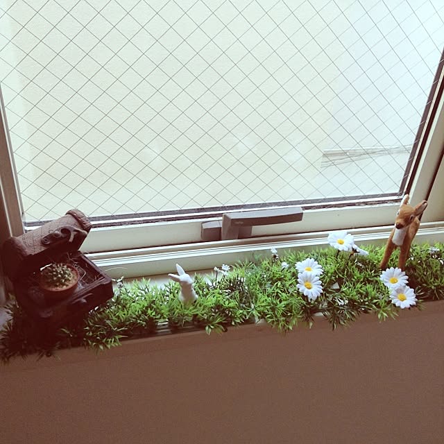 chocolateさんの実例写真