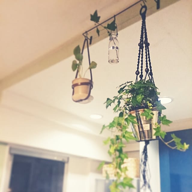 kobakさんの実例写真
