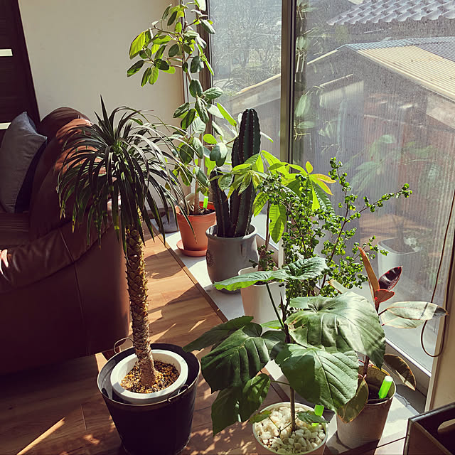 Villageさんの実例写真