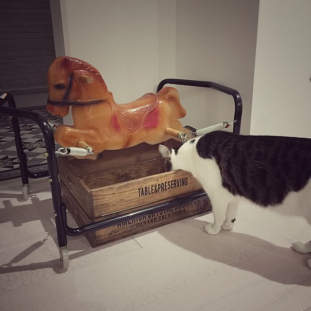 yuchiさんの実例写真