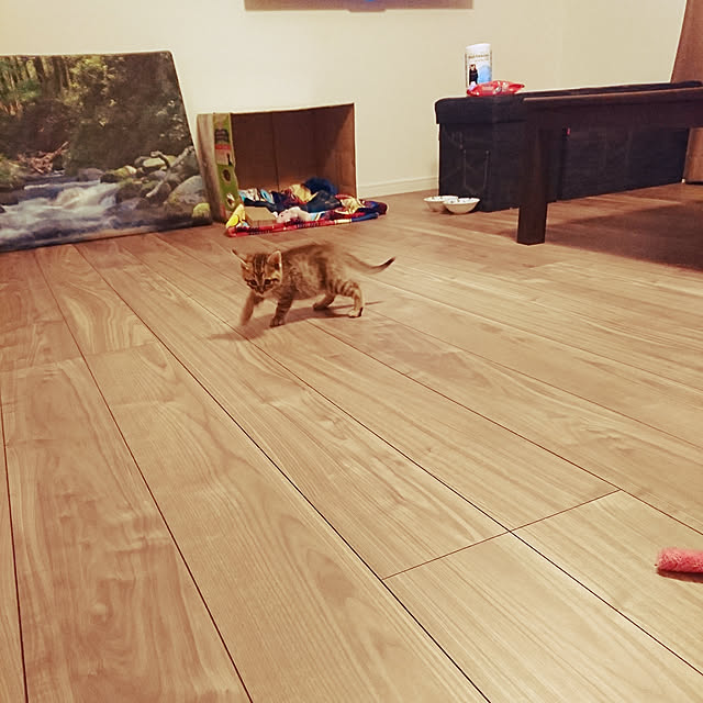 p-p-maruさんの実例写真