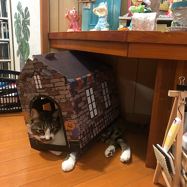 jijiさんの実例写真
