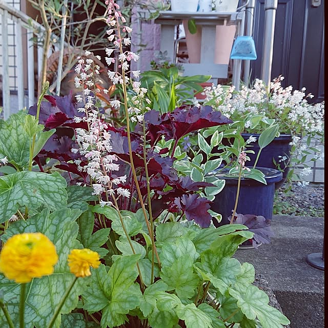 taeko0779さんの部屋