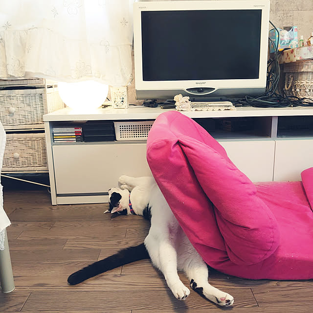 asuminさんの実例写真