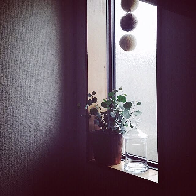 marucoさんの実例写真