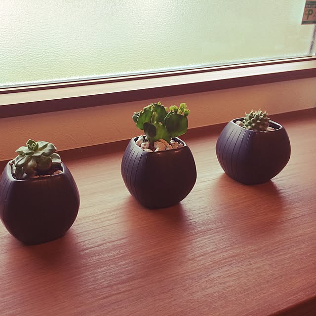 azuさんの実例写真