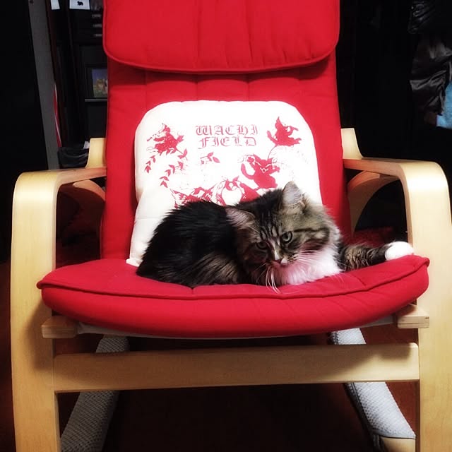 meymeyさんの実例写真