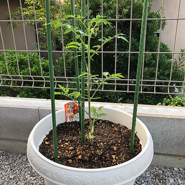 sueさんの実例写真